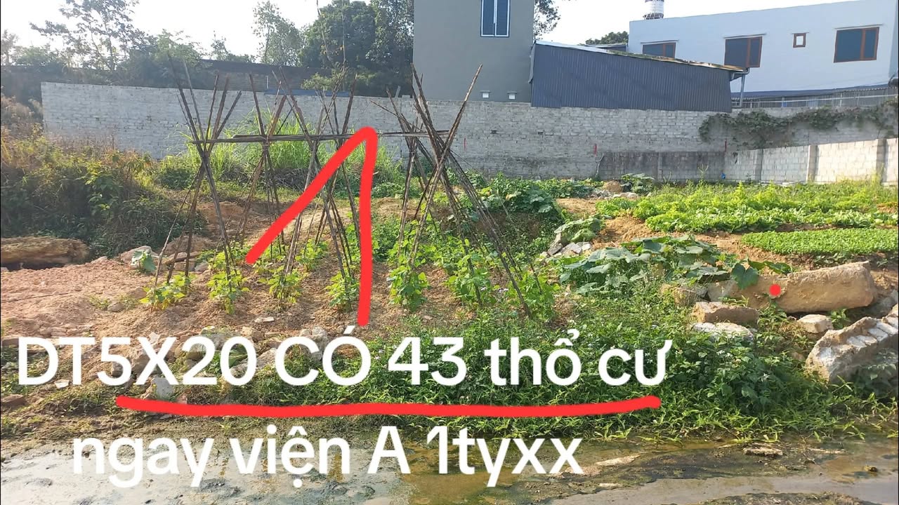 Đất nền viện A, Xã Điềm Thụy, Huyện Phú Bình 1000m² - Cơ hội đầu tư hiếm có!