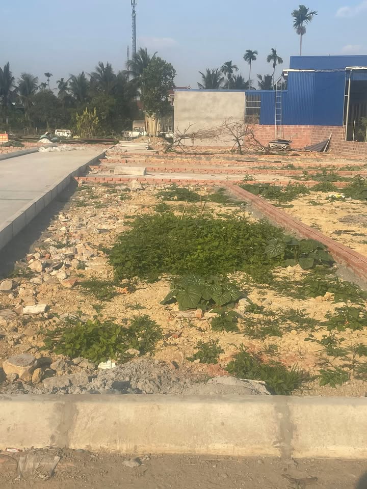 Đất nền lô góc 60m² tại Cao Nhân, Hải Phòng - Giá chỉ 7xx triệu!