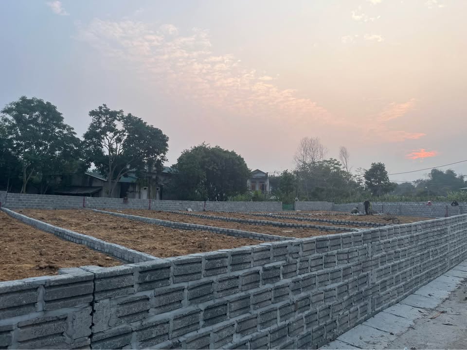 Đất nền Thôn 2 Trung Môn 110m² giá 500 triệu - Đầu tư sinh lời ngay!