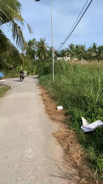 Bán đất Cù Lao Dung 1480m² chỉ 12.96 tỷ - Vị trí đẹp, tiềm năng đầu tư!