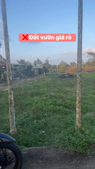 Đất vườn Tam Ngọc, TP Tam Kỳ 550m² giá 1.08 tỷ - Cơ hội đầu tư tuyệt vời!