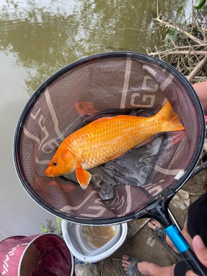 Đất ở xã Duy Vinh, 160m² giá chỉ 8xx triệu - Nằm ngay trung tâm