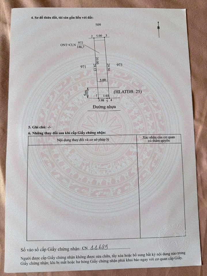Đất nền liền kề xã Dầu Tiếng 145m² chỉ từ 470 triệu - Đầu tư sinh lời tốt!