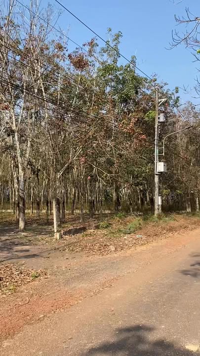 Đất nền liền kề 600m² tại ĐH 704, Bình Dương - Giá chỉ 500 triệu