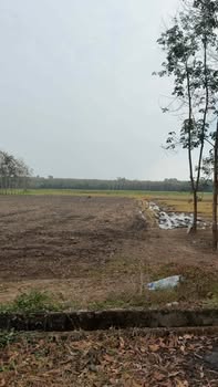 Đất nền mặt tiền sông Sài Gòn 10.000m² giá 5 tỷ - Đầu tư sinh lời hấp dẫn!