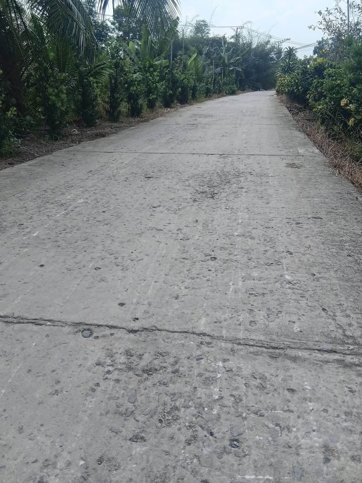 Đất nền Tân Phước Tiền Giang 175m² giá 350 triệu - Cơ hội đầu tư tuyệt vời!