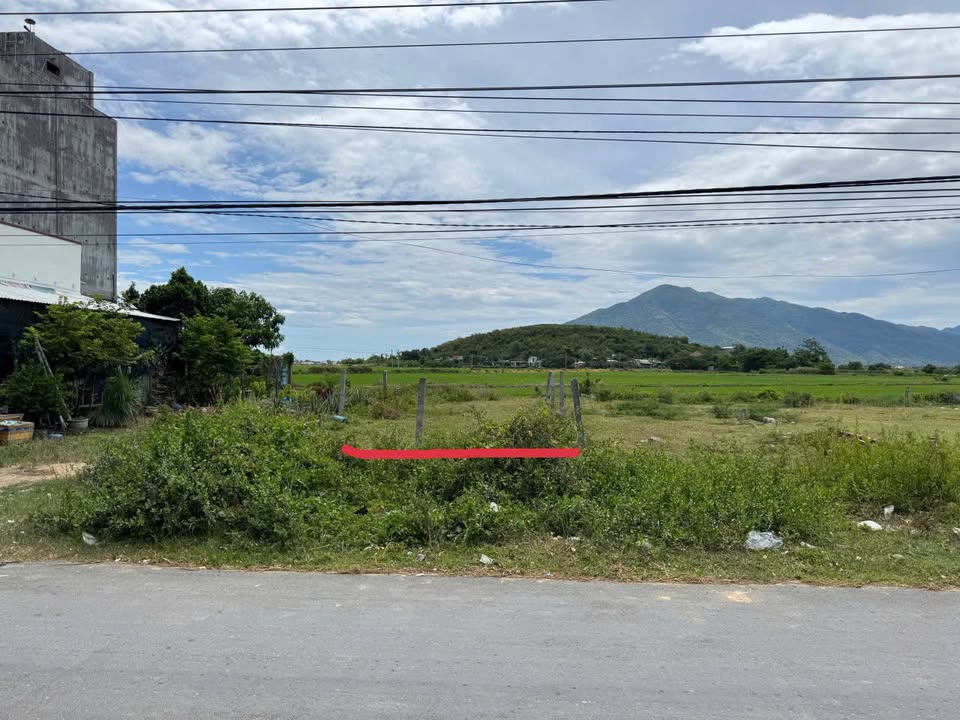 Đất nền Phường Hoà Thắng 133.6m² giá 1.3 tỷ - Cơ hội đầu tư không thể bỏ lỡ!