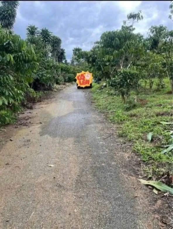 Đất nền Tân Lạc, Bảo Lâm 2850m² giá 2.15 tỷ - Cách trường học chỉ 5 phút!