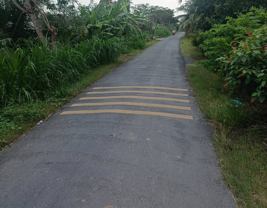 Đất nền Tân Bình Thạnh 2600m² giá 7xx triệu - Đầu tư sinh lời tại Chợ Gạo!