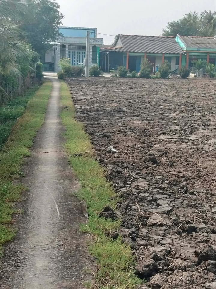 Đất nền 156m² tại Ấp Thọ Khương, Đồng Tháp - Sổ hồng công chứng ngay, chỉ 200 triệu!