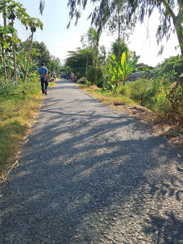 Đất nông nghiệp 3280m² tại Xã Thanh Bình, Tiền Giang - Mặt tiền đường nhựa 10m, giá chỉ 9.84 tỷ