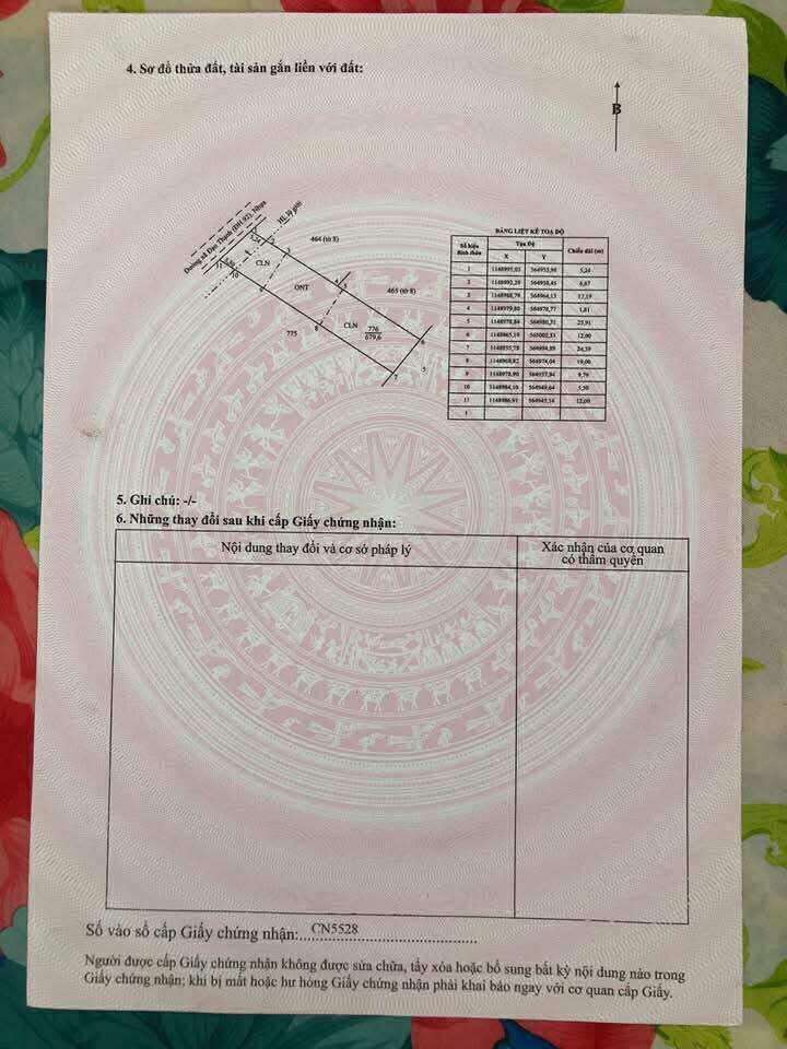 Đất vườn 700m² mặt tiền đường QL 50, Mỹ Tho - Chính chủ bán gấp!