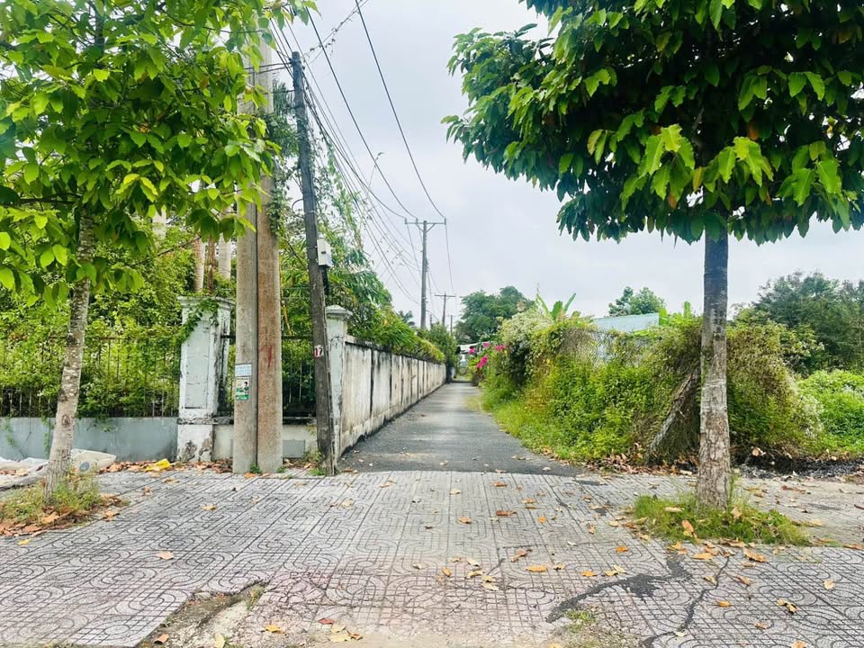 Đất thổ cư tại Cồn Chim, Vĩnh Long 209m² giá 1.45 tỷ - Đường ô tô vào tận nơi!