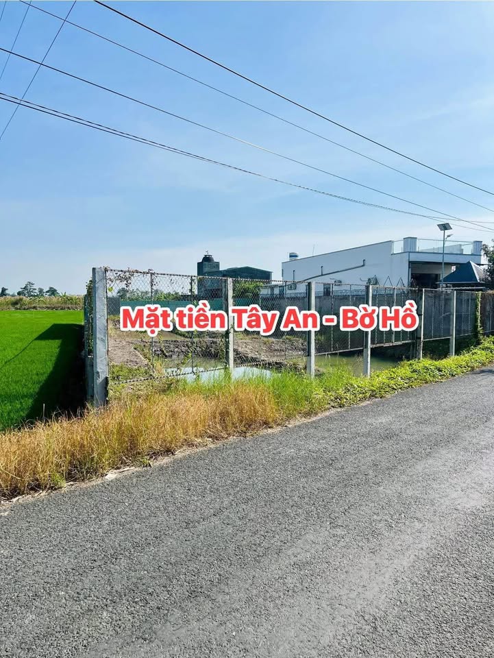 Đất nông nghiệp 1.000m² tại Tây An Bờ Hồ, An Giang - Giá chỉ 1.x tỷ!