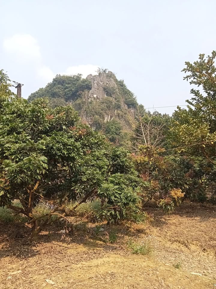 Đất thổ cư 400m² xã Sơn Thủy Kim Bôi chỉ 480 triệu - Đường bê tông rộng rãi!