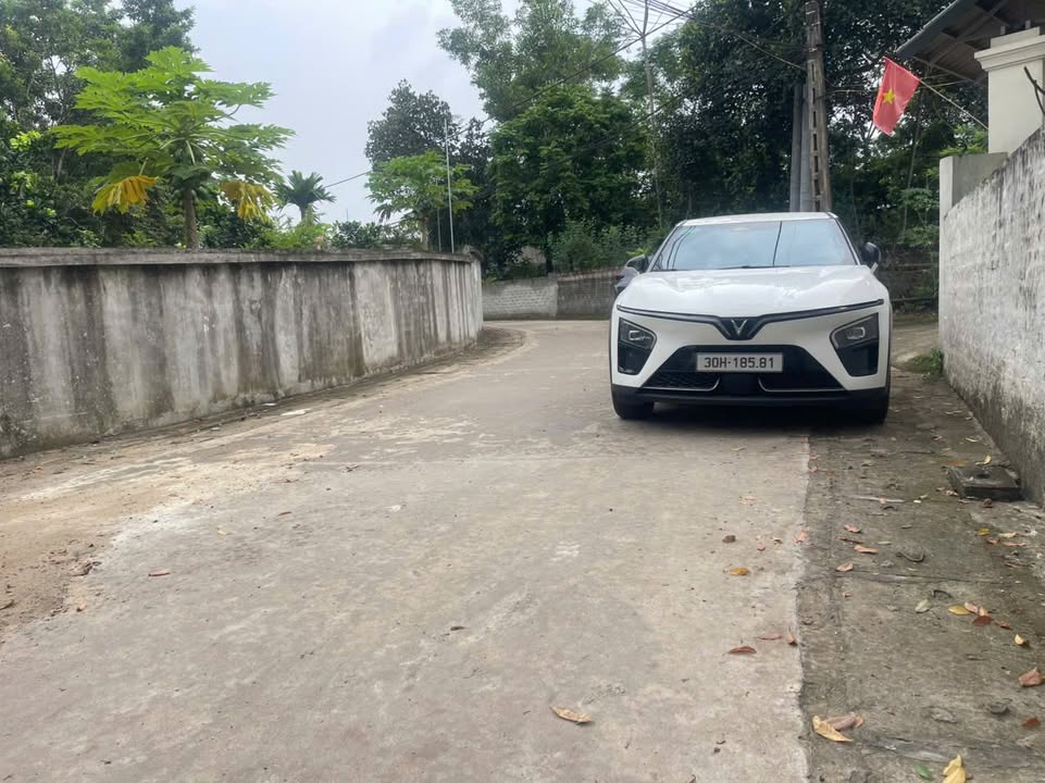 Đất nền 100m² tại Phường Tùng Thiện, Sơn Tây - Giá tốt nhất khu vực!