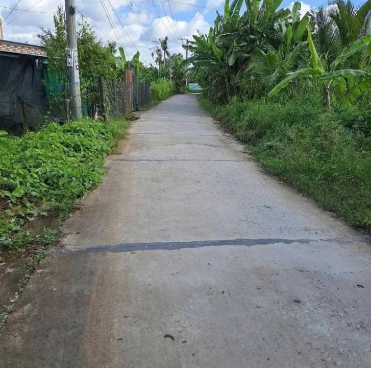 Đất nền biệt thự nghỉ dưỡng Cái Răng 1200m² giá 2.95 tỷ - View sông thoáng mát!