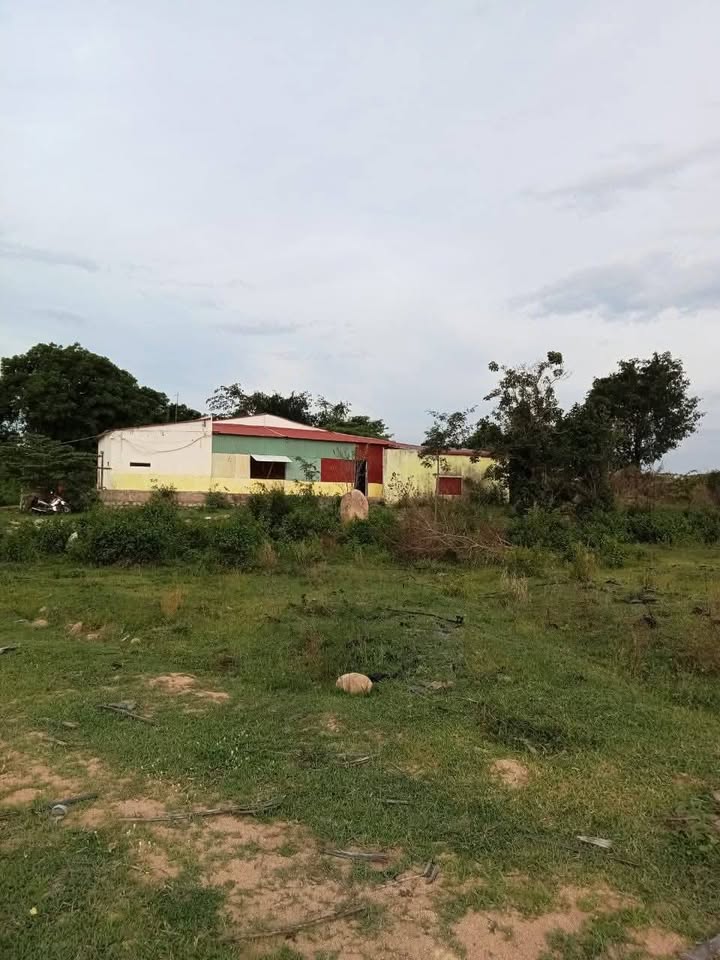 Đất nông nghiệp 7.2ha tại xã Thuận Minh, giá 10.5 tỷ - Cơ hội đầu tư sinh lời!