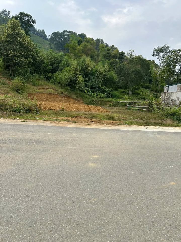 Đất thổ cư Đội Cấn 275m² - Mặt đường nhựa 10m, ô tô đỗ cửa!