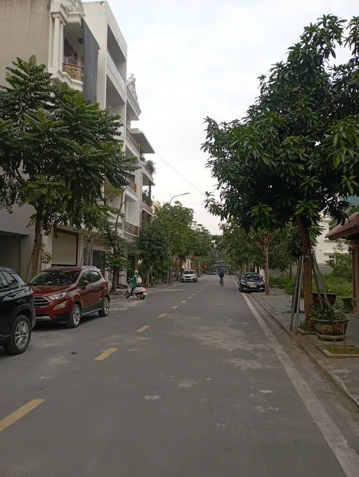 Lô đất 100m² khu đô thị Dệt, Nam Định - Giá chỉ 6.x tỷ hướng Đông, mặt tiền 5m!