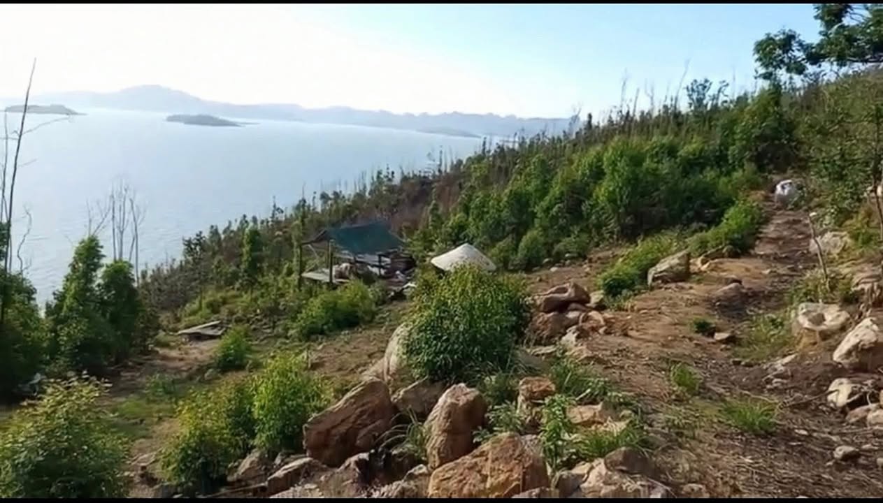 Đất đồi view biển Quan Lạn 20HA giá 80 tỷ - Tiềm năng du lịch cực lớn!