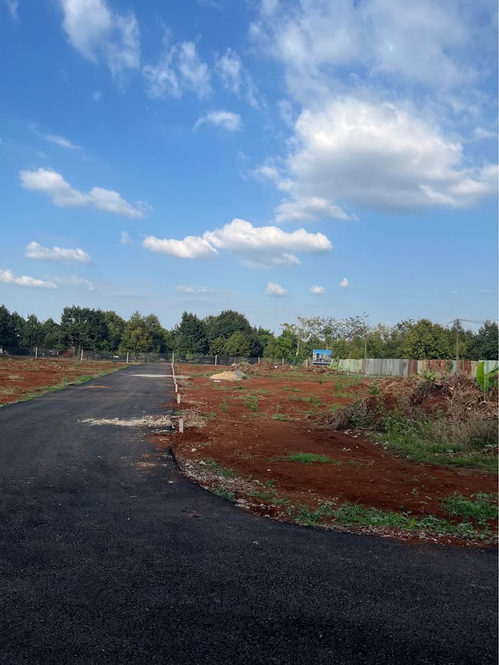 Đất nền 2 mặt tiền Lê Hồng Phong 95m² giá 950 triệu - Cơ hội đầu tư tuyệt vời!