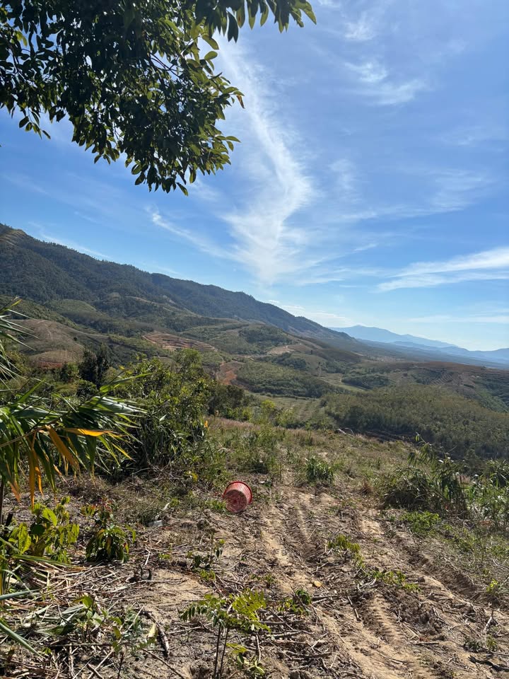 Đất nông nghiệp 13ha tại Đắk Tờ Re, Kon Rẫy chỉ từ 200 triệu - Tiềm năng phát triển lớn