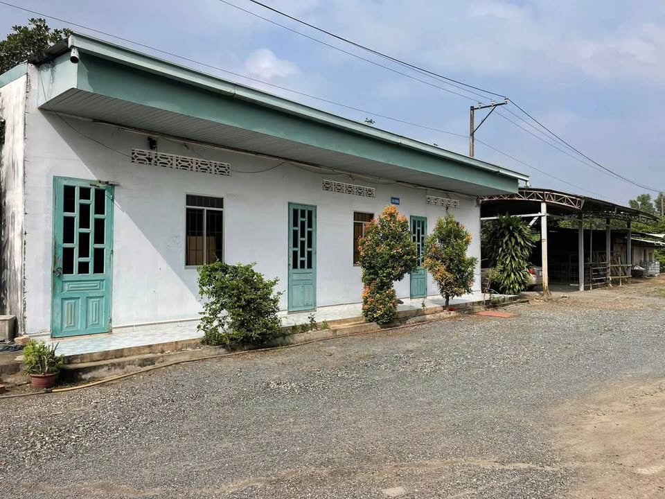 Kho xưởng 8488m² tại An Viễn, Trảng Bom - Giá tốt cho nhà đầu tư!