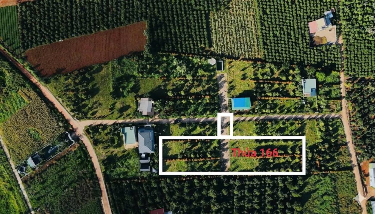 Đất ven Đà Lạt 2985m² giá chỉ 3.6 tỷ - Phù hợp cho nghỉ dưỡng và đầu tư!