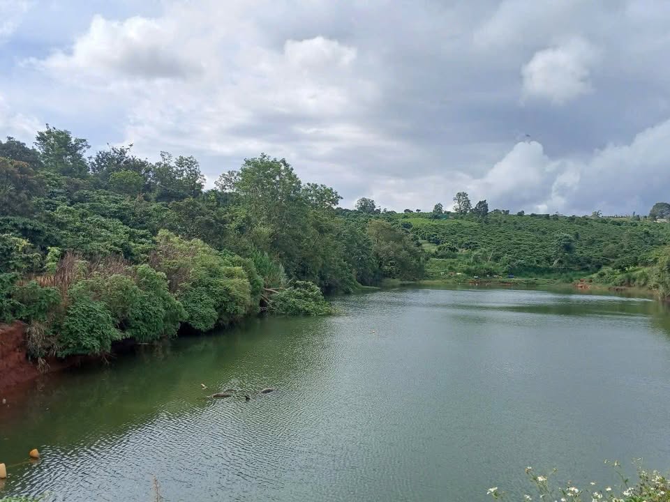 Đất nông nghiệp Mê Linh 15000m² giá thỏa thuận - Cơ hội đầu tư lý tưởng!