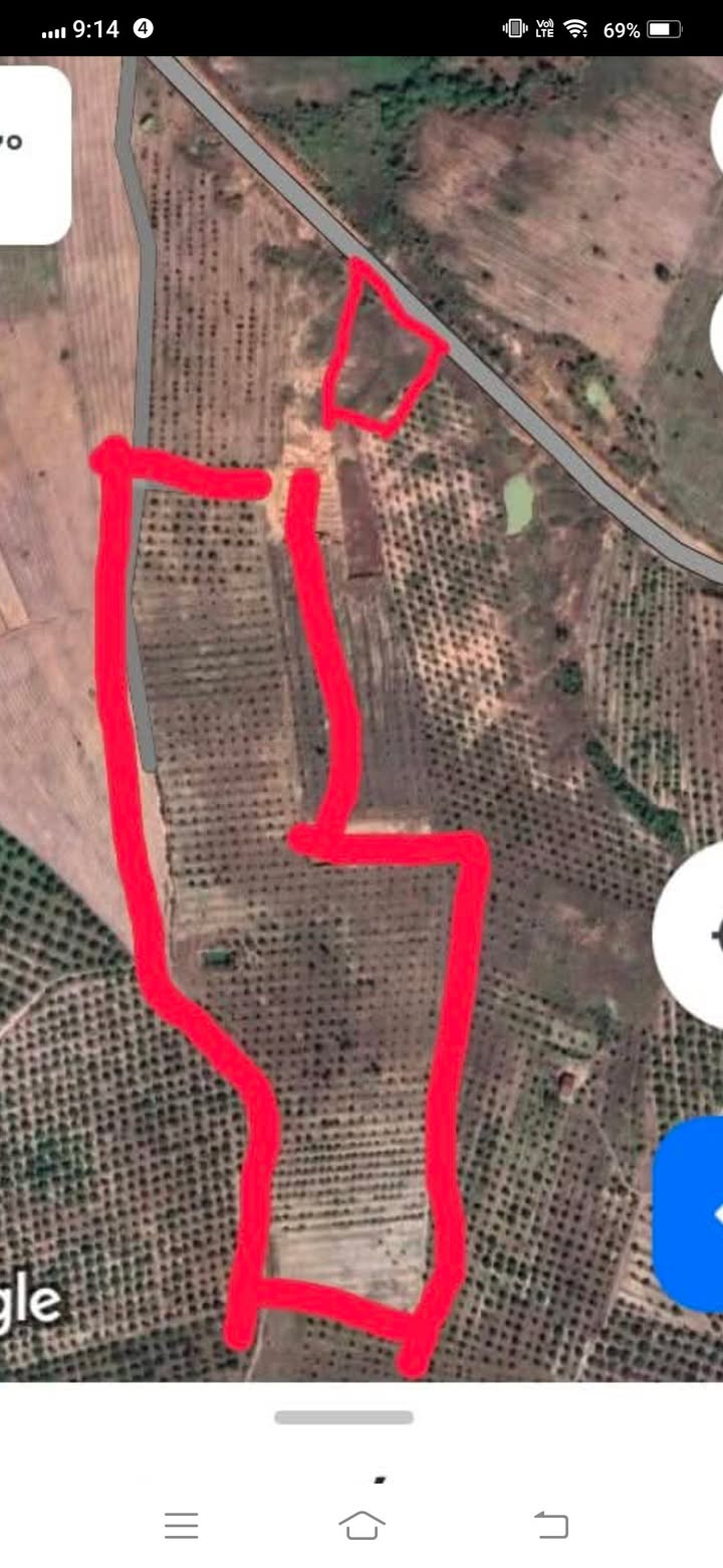 Đất nền 5ha tại Ea Súp, Đắk Lắk giá chỉ 500 triệu - Cơ hội đầu tư tuyệt vời!