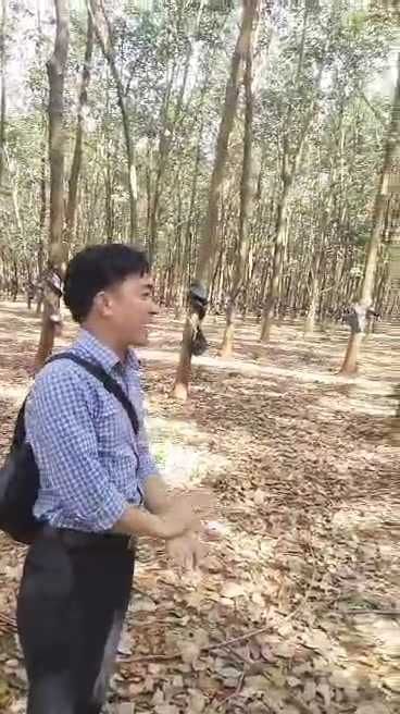 Đất nông nghiệp Sê San 4, Huyện Ia Grai, 110.000m² giá 7,5 tỷ - Tiềm năng chuyển đổi cao!