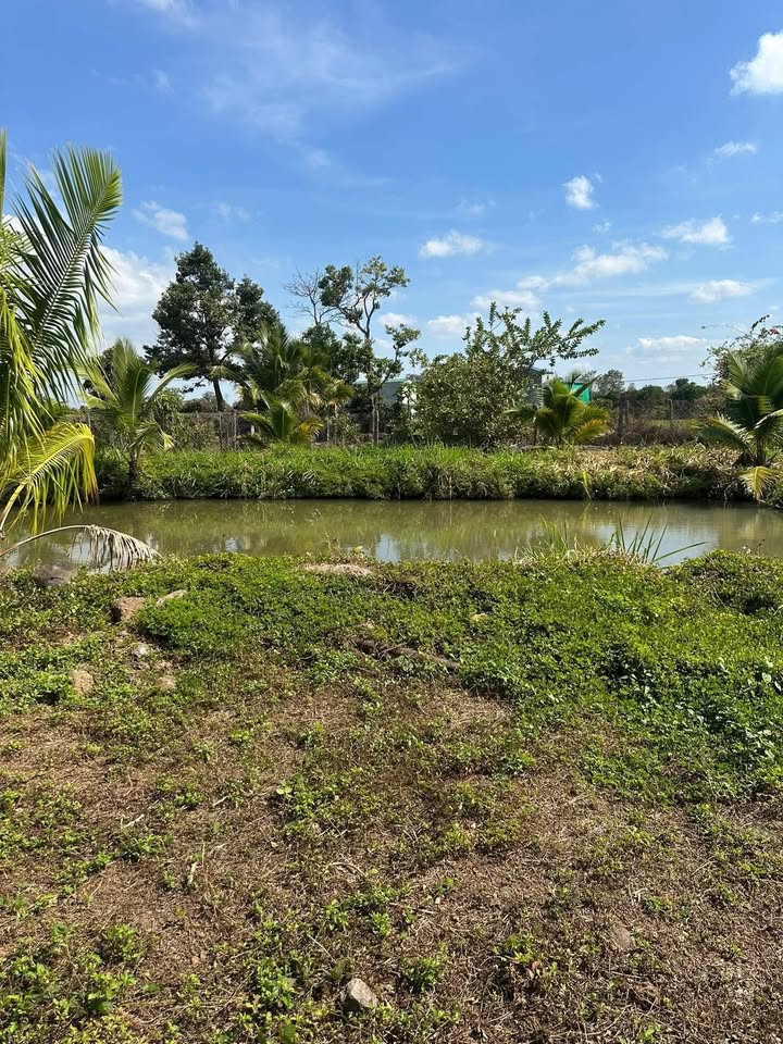 Đất nông nghiệp 3 sào tại Cuôr KNia, Buôn Đôn giá 750 triệu - Tiềm năng phát triển lớn!