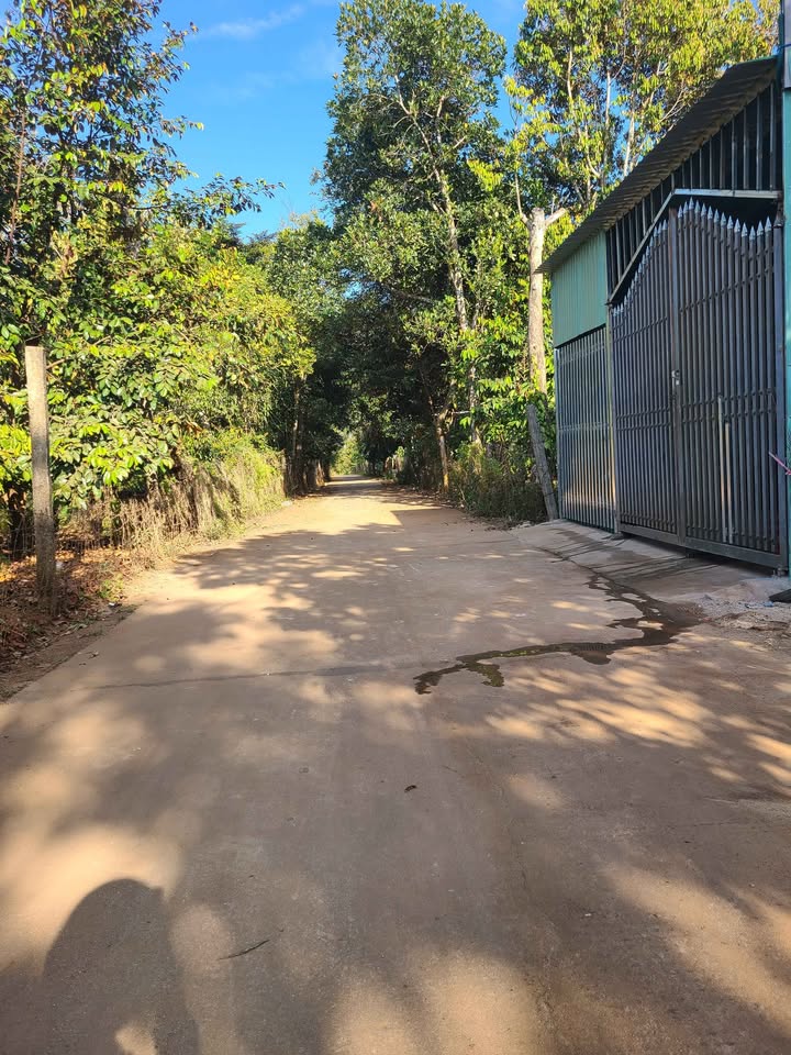 Đất nền Biển Hồ, Pleiku 150m² giá 66 triệu - Sổ đỏ chính chủ, đầu tư sinh lời!