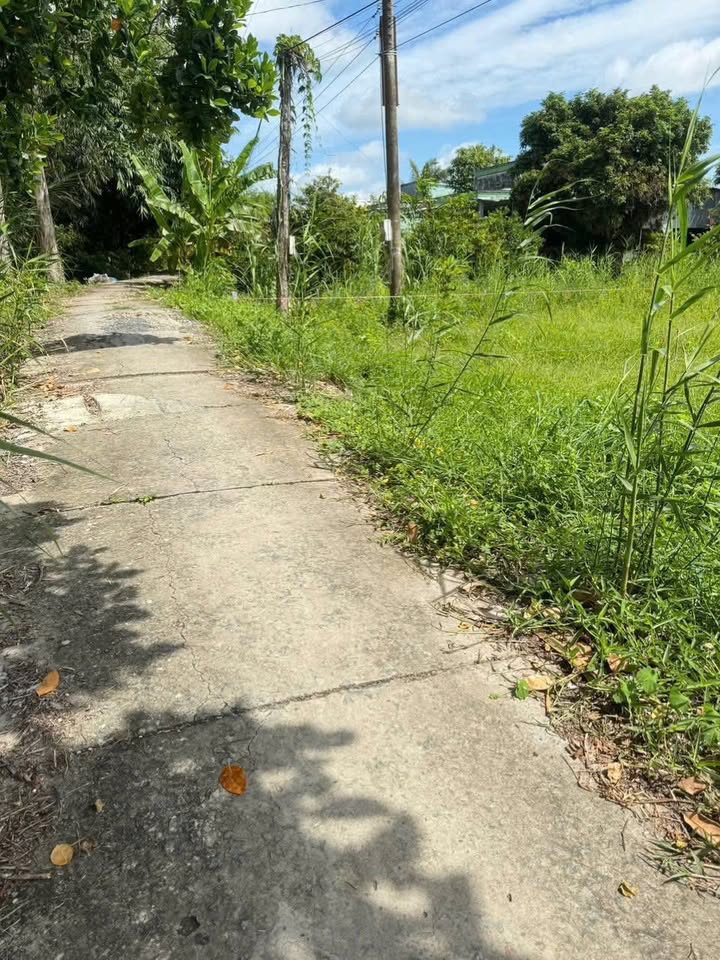 Đất nền Ngã Nhỏ, Xã Tân Nhuận Đông, 220m² giá 400 triệu - Cơ hội đầu tư tuyệt vời!