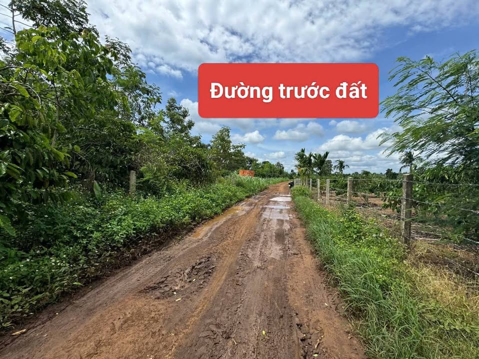 Đất nền Thôn 7 Ea Drông, Buôn Hồ 696m² giá 320 triệu - Đầu tư sinh lời ngay!