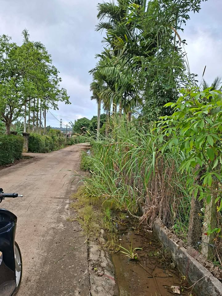 Đất nền Phường Đoàn Kết, Thị Xã Buôn Hồ 400m² giá 1.2 tỷ - Cơ hội đầu tư hấp dẫn!