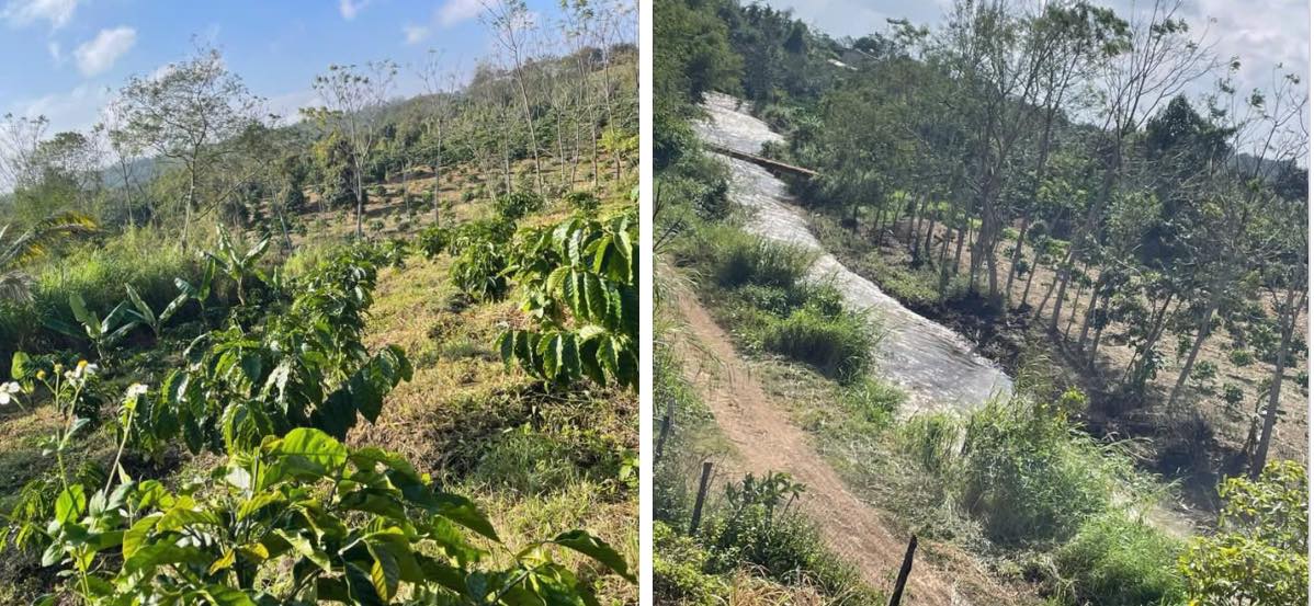 Đất 1ha sát suối lớn tại Buôn Hồ, Đắk Lắk chỉ 1.7 tỷ - Cơ hội đầu tư tuyệt vời!