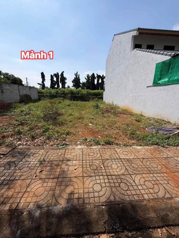 Đất nền Bà Rịa - Vũng Tàu 140m² giá 2.39 tỷ - Vị trí đắc địa ngay cao tốc