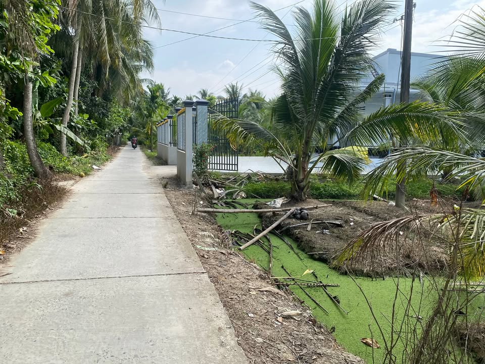 Đất nền 600m² xã Tân Phú, huyện Tam Bình - Giá chỉ 6.75 tỷ, thương lượng chính chủ!