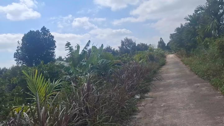 Đất nền 300m² tại Huyện Ea Kar - Giá 3.6 tỷ - Đường bê tông rộng rãi!