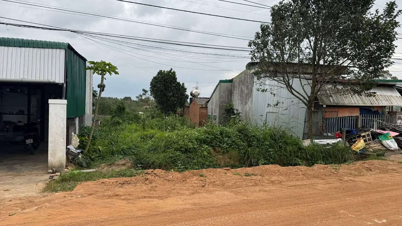 Đất thổ cư 125m² Thôn 12, Đường bê tông - Chính chủ bán gấp chỉ 600 triệu!