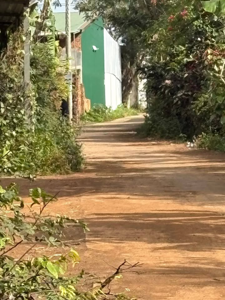 Đất thổ cư 150m² xã Ea Sô, huyện Ea Kar - Giá chỉ 395 triệu, sổ đỏ chính chủ!