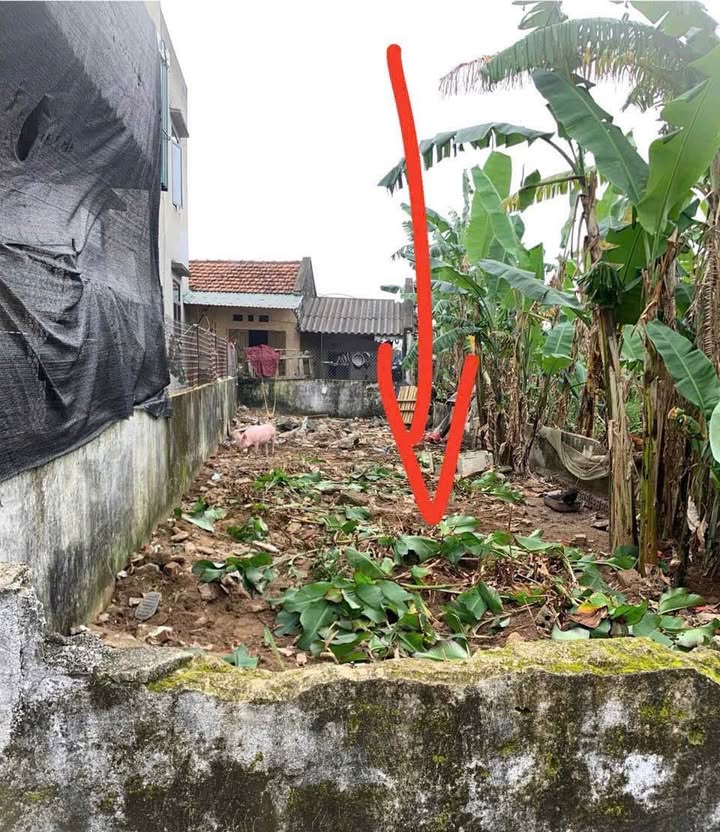 Lô đất đẹp tại Phường Quảng Đông, TP Thanh Hóa 90m² giá 1.4 tỷ - Cơ hội đầu tư sinh lời!