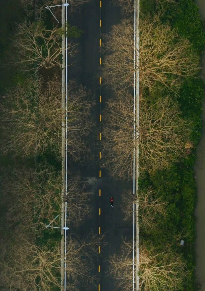 Căn hộ Onsen Văn Giang 35m² giá 3 tỷ - View sông Hồng tuyệt đẹp!