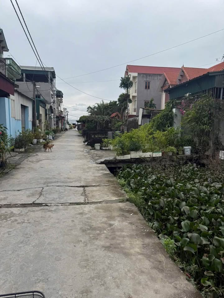 Căn hộ Tổ dân phố Bưởi, Dị Sử 79m² giá chỉ hơn 3 tỷ - Cơ hội đầu tư hấp dẫn!