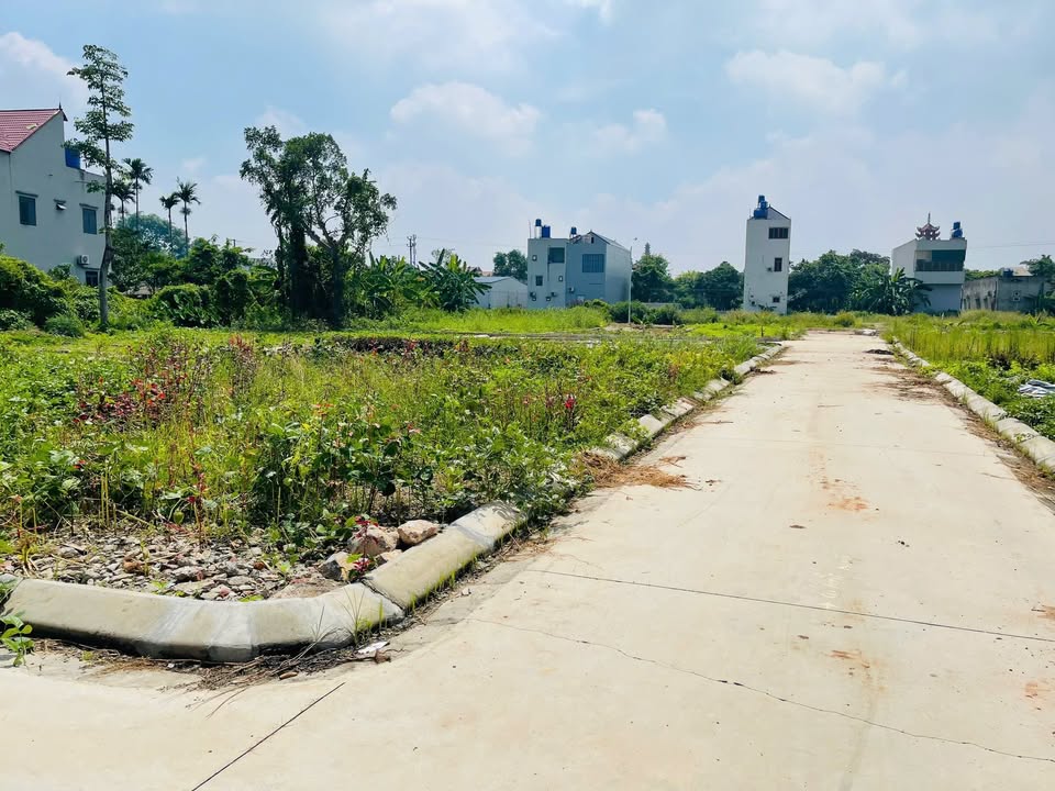 Đất Hồng Sơn 46,2m² giá 1.3 tỷ - Mặt tiền gần chợ và trường học!