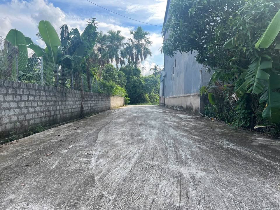 Đất nền Trung Hòa, Tân Lâm Hương 354m² giá 3 tỷ - Đầu tư sinh lời hấp dẫn!