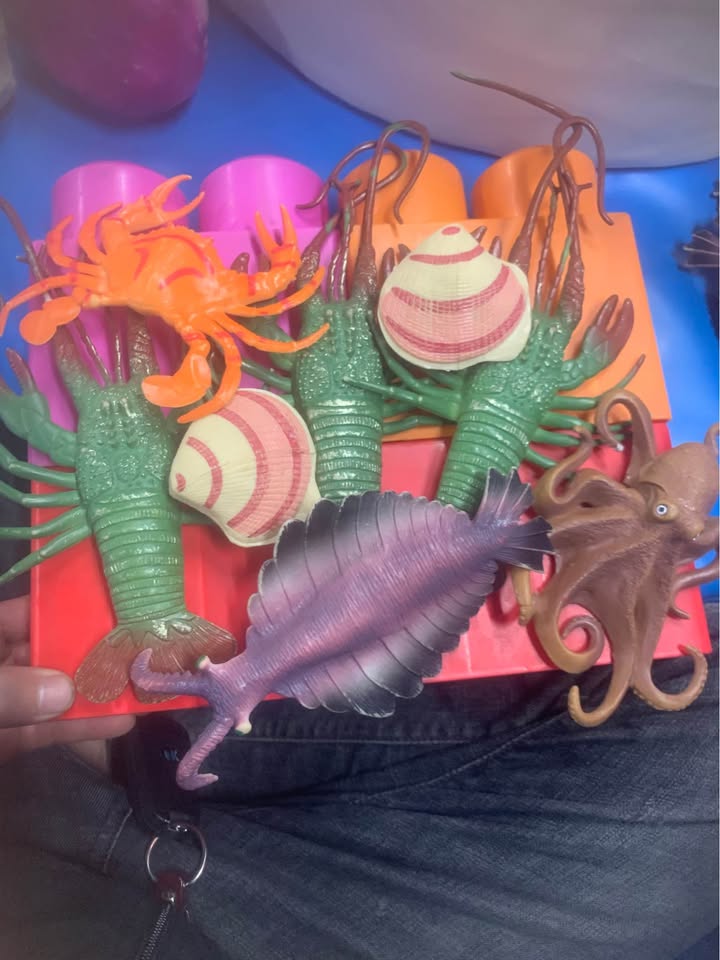 Đất nền Lưu Vĩnh Sơn, Toàn Lưu 250m² giá 1.5 tỷ - Đầu tư sinh lời ngay!