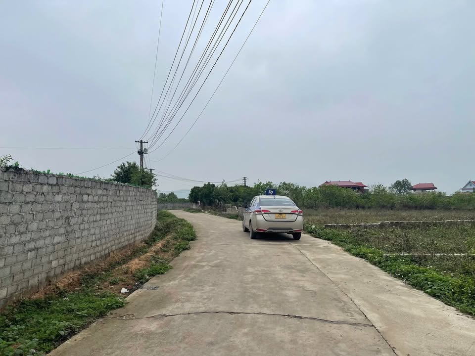 Đất thổ cư 300m² tại TDP Giáp Hạ, Bắc Giang - Giá chỉ 600 triệu!